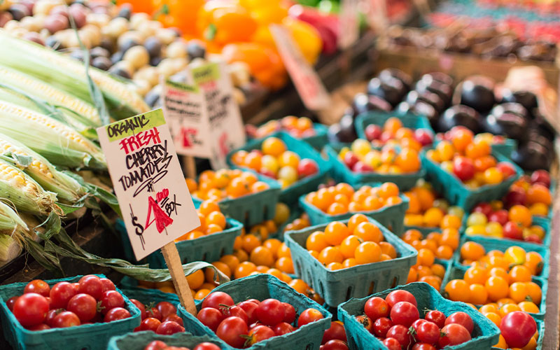 West Tennessee Farmer's Market in Jackson